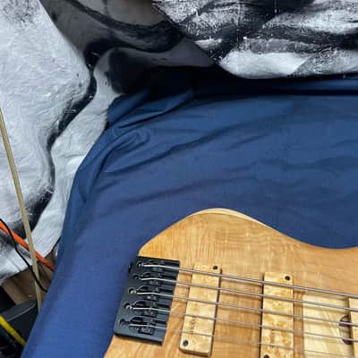 Skjold Wyvern David Dyson Signature Model #3 of 25 5-string Bass image 3