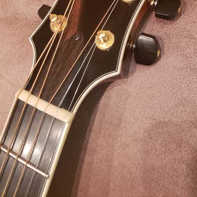 Eastman  AR805 2010 Violin Finish With K&K Definity image 2
