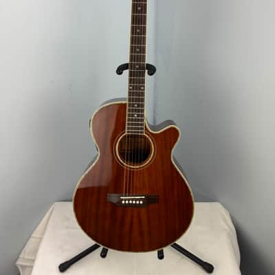 Jay Turser JTAC-50EQ Acoustic-Electric Cutaway Guitar w/ Brand New Great Divide Gig Bag image 1