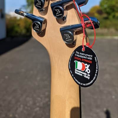 Tiny Bass TBJ 3500 NSM 5 String 2022 Natural Spalted Maple image 7