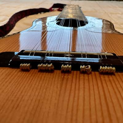 Luthier Gonzales Steel 12 String Ronroco / Charangon 2017 with 10 sets of strings image 11