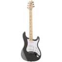 PRS SE Silver Sky Maple - Overland Gray