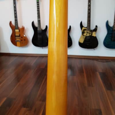 ESP Custom Order Vintage Reverse Flying V image 12