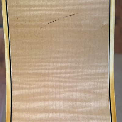 Ibanez Concord Maple - Natural W/Case image 18