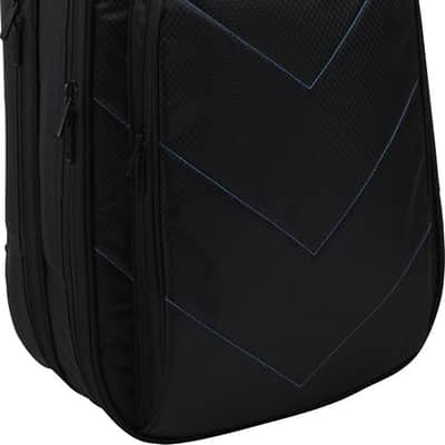 Reunion Blues RBX-2B Double Bass Guitar Gig Bag, Black image 1