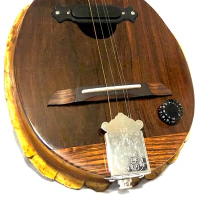 Turtle Shell acoustic/electric dulcimer guitar image 6