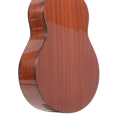 Gold Tone TG-10/L: Tenor Guitar with Gig Bag image 19