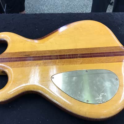 Michael Dolan Custom Neck Through 6-String Guitar image 6