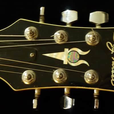 Jay Turser Les Paul image 4