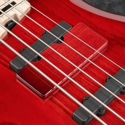 Ibanez Adam Nitti Signature 5str Electric Bass w/Bag - Transparent Wine Red Burst (ANB205TWB) image 10