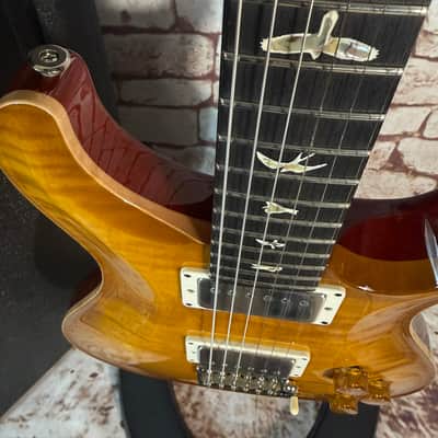 PRS DGT David Grissom Tremolo Signature 1 piece Top Birds - McCarty Sunburst image 6
