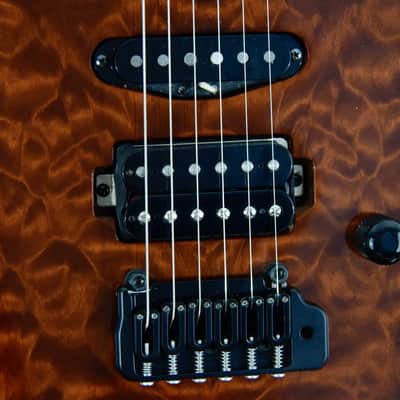 LsL Instruments XT4 DX "Adria" Electric Guitar w/ Case - Transparent Brown image 8