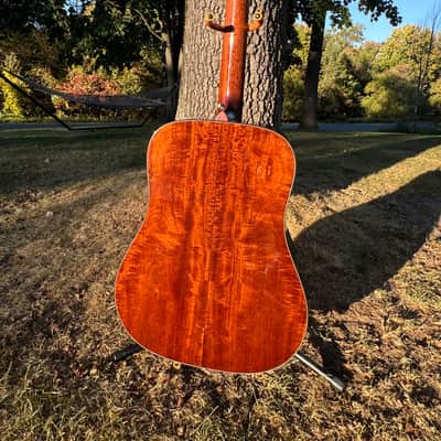 Sinker Mahogany Bourgeois Championship Guitar (Banjo Killer Bracing) image 3