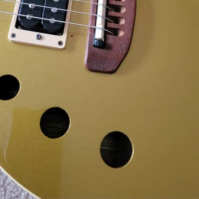 Hamer (USA) Duotone Standard 1995 - Goldtop image 19