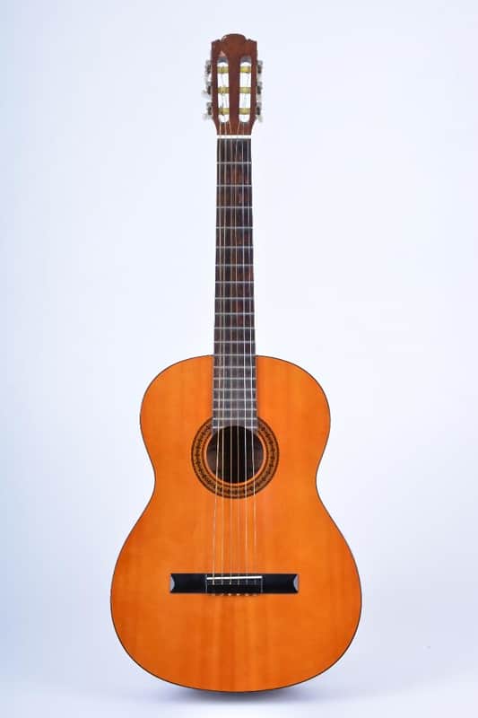 Fender Gemini I  Natural, Great classical guitar for beginners! Really nice tone! image 1