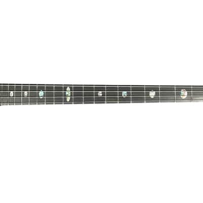 Alembic Stanley Clarke "Brown Bass", Flame Walnut with Ebony, BLUE LEDS *IN STOCK*** image 14