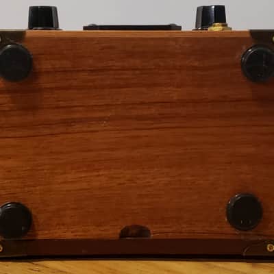 C. B. Gitty Copper Cent Cigar Box Amp 2020s - USA image 7