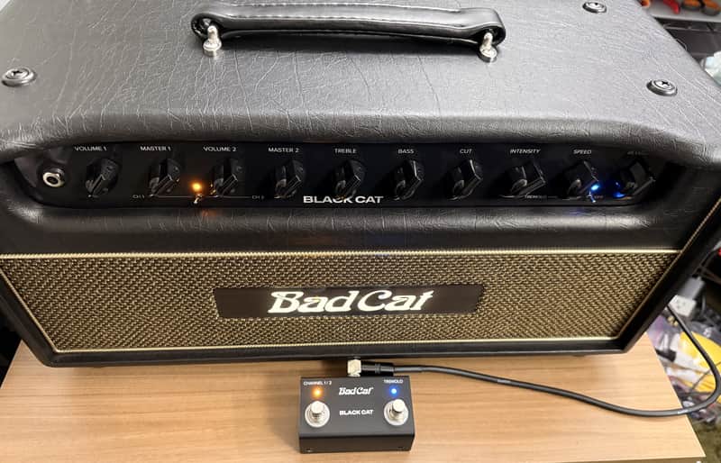 Bad Cat Black Cat 2-Channel 20-Watt Amp Head image 1