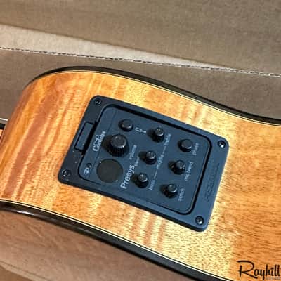 Cordoba Fusion 14 Maple Spruce Top Nylon String Acoustic-Electric Guitar image 13