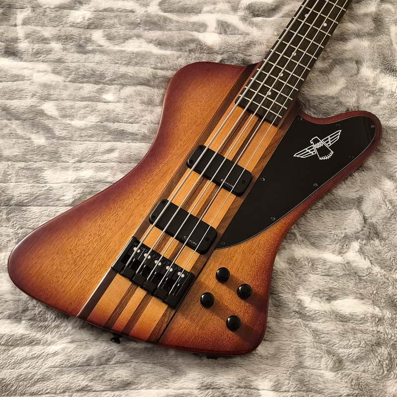 Epiphone Thunderbird Pro V