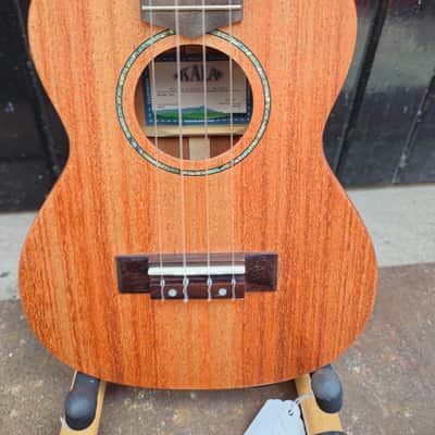 Kala Kala James Hill Concert electric Ukulele - Mahogany image 4