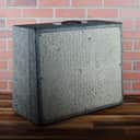 Supro Vintage 1965 Thunderbolt - S6420 - 15" 35watt Combo Amp with RCA Glass and Jensen C15P