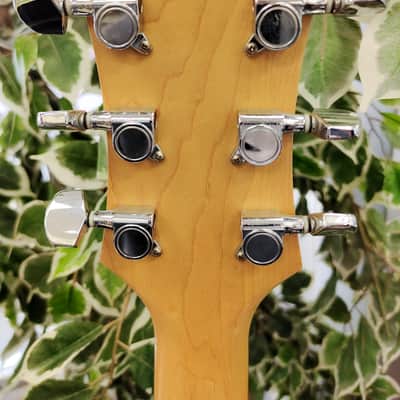 B.C. Rich Mockingbird Platinum Series Electric Guitar image 8