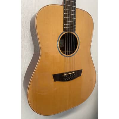 Faith HiGloss Series Saturn 12 String Electro Acoustic with Hardcase Pre-Owned image 6