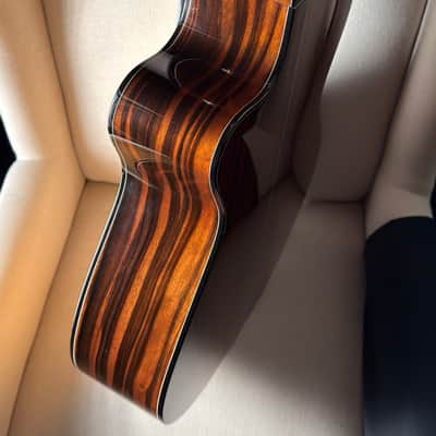 Kathy Wingert E Macassar Ebony image 10