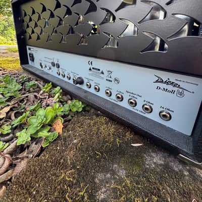 Diezel D-Moll 2.5-Channel 100-Watt Guitar Amp Head 2013 - 2019 - Black with Classic Metal Grille image 4