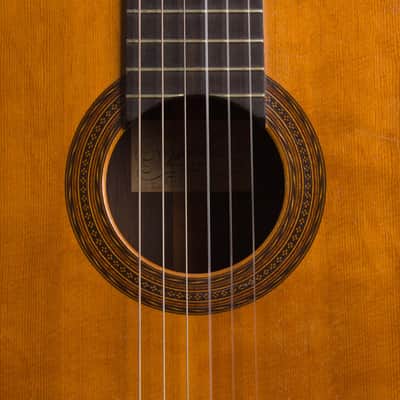Manuel Velazquez Classical Guitar (1971), Mark Leaf black hard shell case. image 17