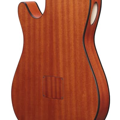 Ibanez FRH10N Acoustic Electric Nylon Guitar Rose Gold Metallic image 8