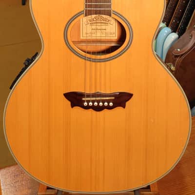 Washburn EA-2000 1999 - Natural image 1