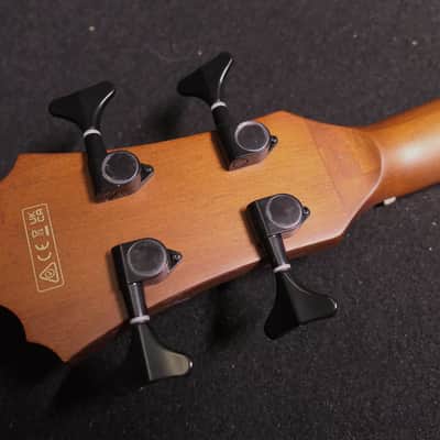Ibanez AEGB24FE MHS Compact Size FRETLESS Acoustic-Electric Bass Guitar with Finger Rest image 5