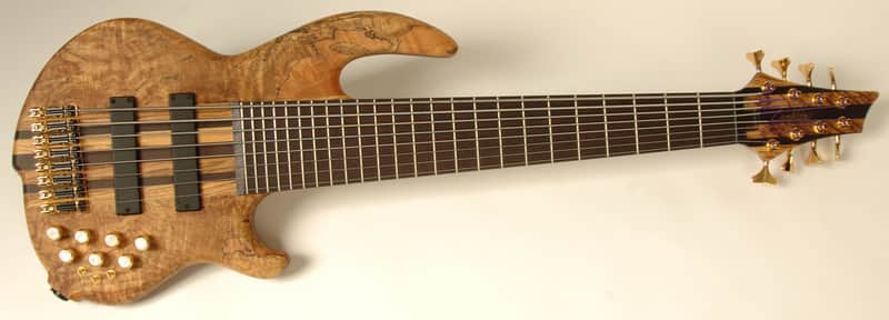 Custom Conklin Sidewinder 8 String Bass image 1