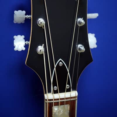 Epiphone 6830 - Kalamazoo 1971 - Vintage RARE label! image 4