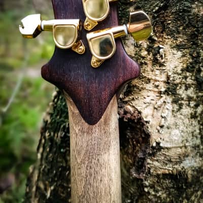 The Indian Eagle II - Rosewood custom cigarbox guitar image 8