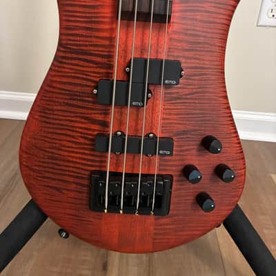 Spector Euro 4 LX 2020 - Present - Trans Black Stain Matte image 5