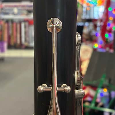Buffet Crampon R13 with Chadash Barrel image 12