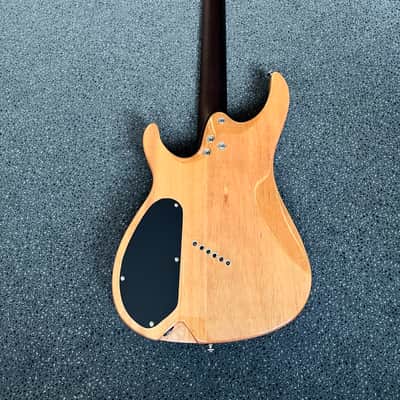 Immagine Ormsby SX Joe Haley 6-string Ob - Run15 - 7