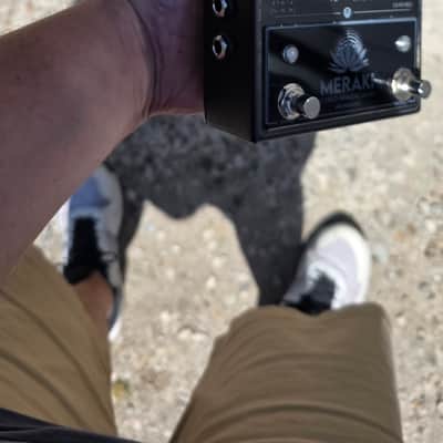 Walrus Audio Meraki Stereo Analog Delay Limited Edition - Blacked Out 2023 - Blacked Out image 3