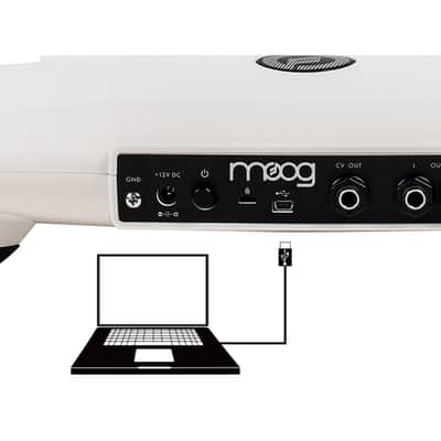 Moog Theremini Theremin with Assistive Pitch Correction image 4