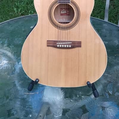 Rogue Acoustic/ Electric image 1