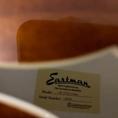 Eastman AR175CE, AR371CE (2014) image 20