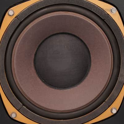 Tannoy Eaton 295 50W Dual Concentric Speakers – PRO RESTORED – 1-Year Warranty image 10