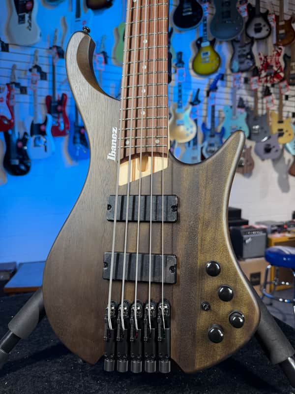 Ibanez Bass Workshop EHB605 5-string Electric Bass Guitar - Walnut Flat, Free Plek! 024 image 1