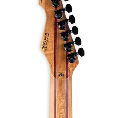 ESP LTD SN-1007HT Baritone 7 String Electric Guitar. Fire Blast image 7