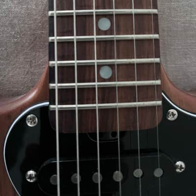 Gordon Smith GS 1.5 Double Cut, Bigsby B5, Gibson 57 Classic, Fender AV 65 Strat, Melody Maker image 7