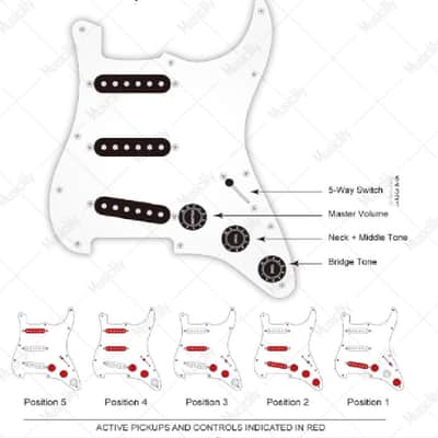 Hot Loaded ST Pickguard Prewired ST SSS Pickguard with Alnico Pickups Tortoise - Cream Covers Bild 8