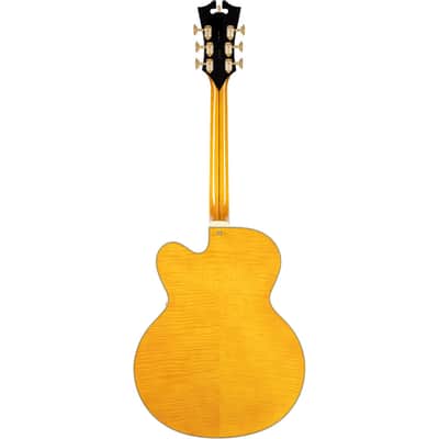 D'Angelico Excel EXL-1 Electric Guitar (Hollowbody - Amber) image 8